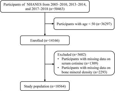 Associations between smoke exposure and osteoporosis or osteopenia in a US NHANES population of elderly individuals